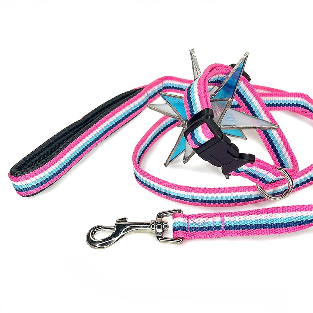 Pink Stripe Nylon/Cotton Collar & Leash Set